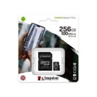 Kingston microSD 256GB Class10