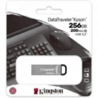 KINGSTON USB memorija 256GB DTKN USB 3.2