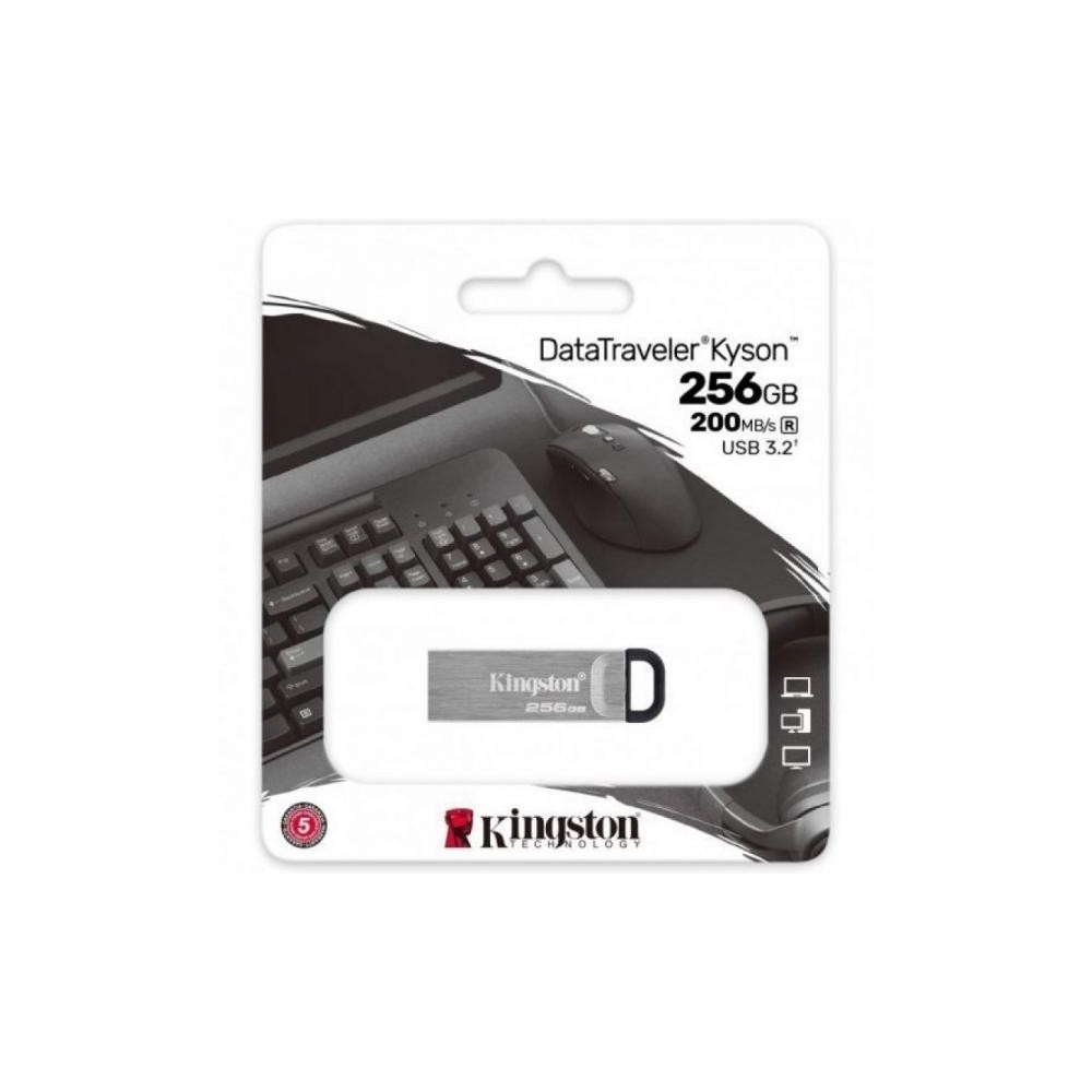 KINGSTON USB memorija 256GB DTKN USB 3.2