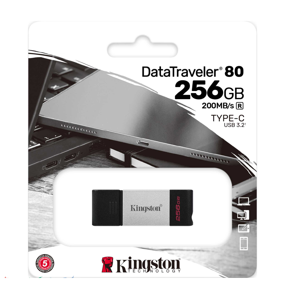 KINGSTON USB memorija 256GB DT80 Type-C